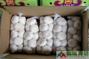 Agarlic.com pure white garlic 6cm 1kg/mesh bag 10kg/cartongarlic 