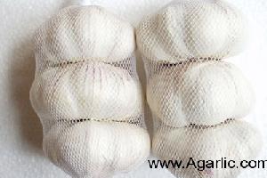 www.agarlic.com normal white garlic 5.5cm 3pcs