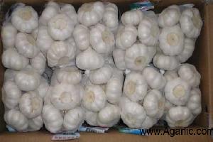 Agarlic.com pure white garlic 6cm 500g/mesh bag 10kg/carton 