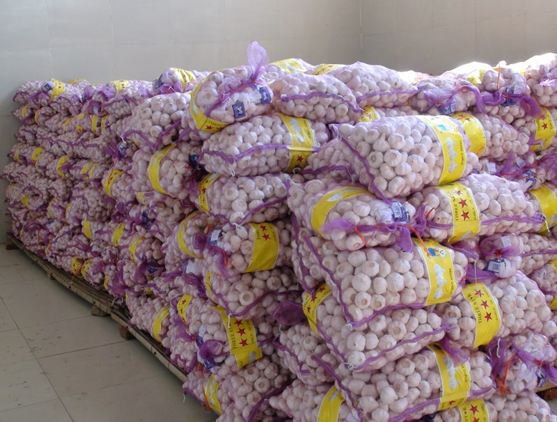 Fresh garlic 10kg/mesh bag