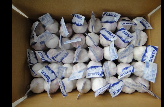 Pure white garlic 250g/mesh bag 10kg/carton