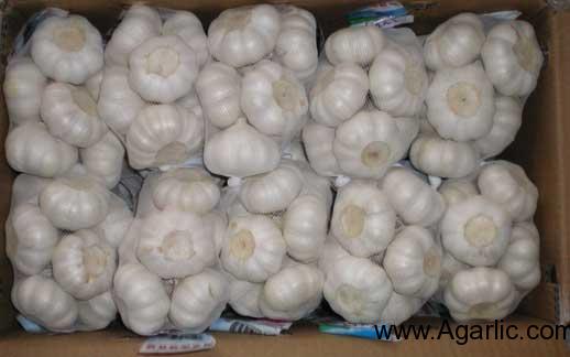 Pure white garlic 1kg/mesh bag 10kg/carton 