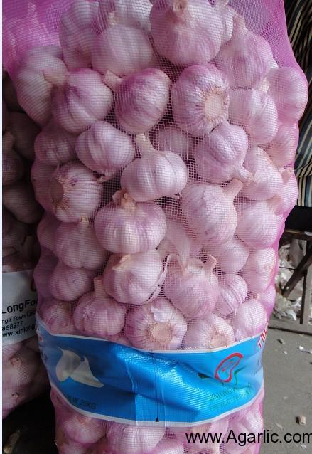 China garlic in 20kg/mesh bag
