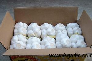 Garlic 6cm 500g/mesh bag 10kg/carton
