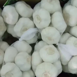 Pure White Garlic (1)