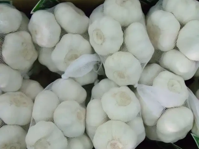 Pure White Garlic (1)