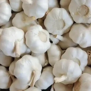 Pure White Garlic1 (1)