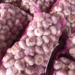 Normal White Garlic 10kg Mesh Bag (1)