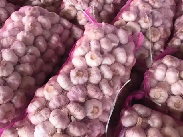 Normal White Garlic 10kg Mesh Bag (1)