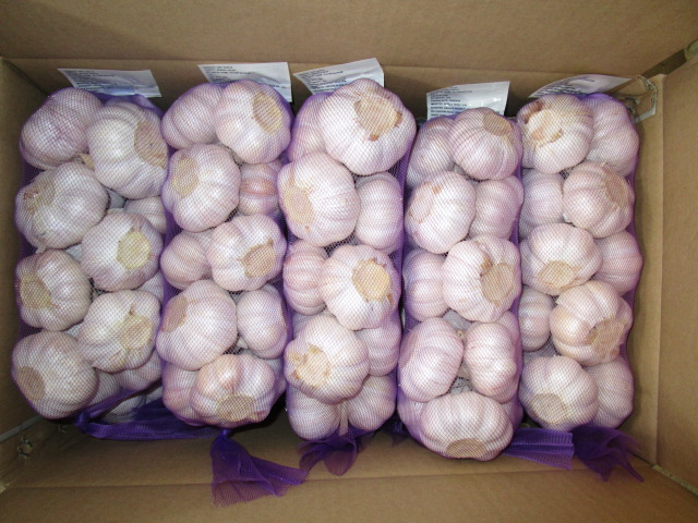 Normal White Garlic 1kg Mesh Bag 10kg Carton