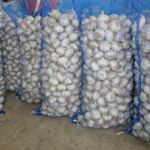 Normal White Garlic 20kg Mesh Bag