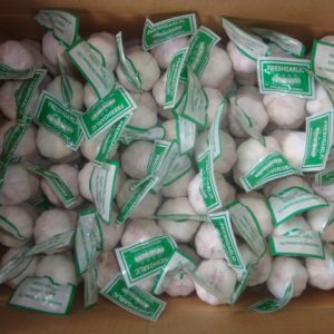 Normal White Garlic 3pcs 10kg Box