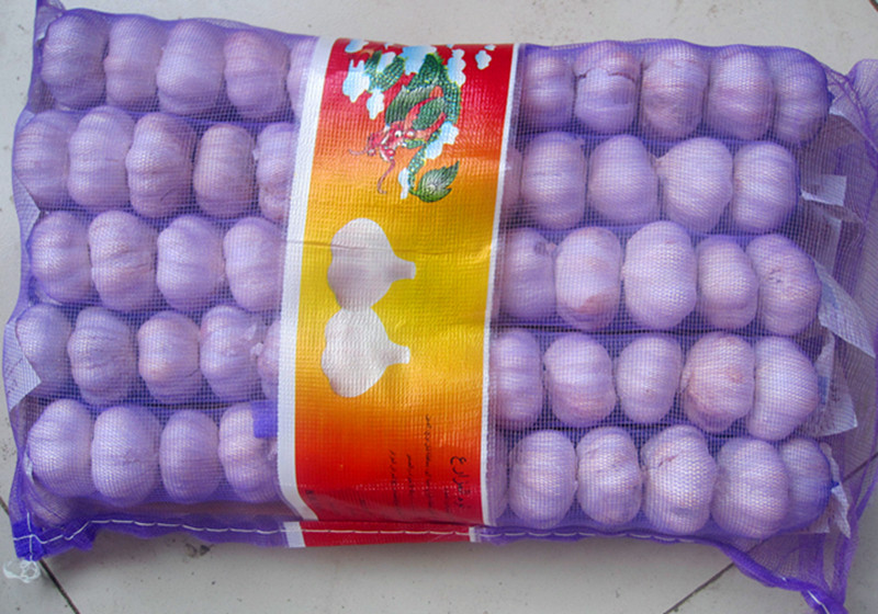 Normal White Garlic 5kg Mesh Bag