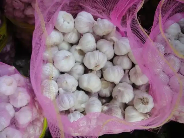 Pure (1)