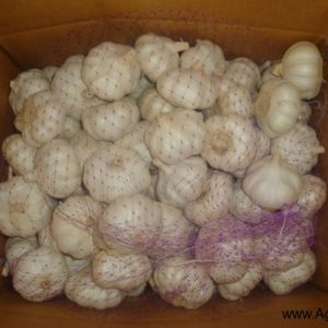 Pure White Garlic 10kg Box