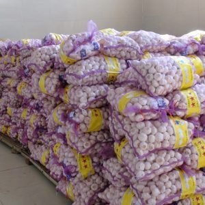 Pure White Garlic 10kg Mesh Bag