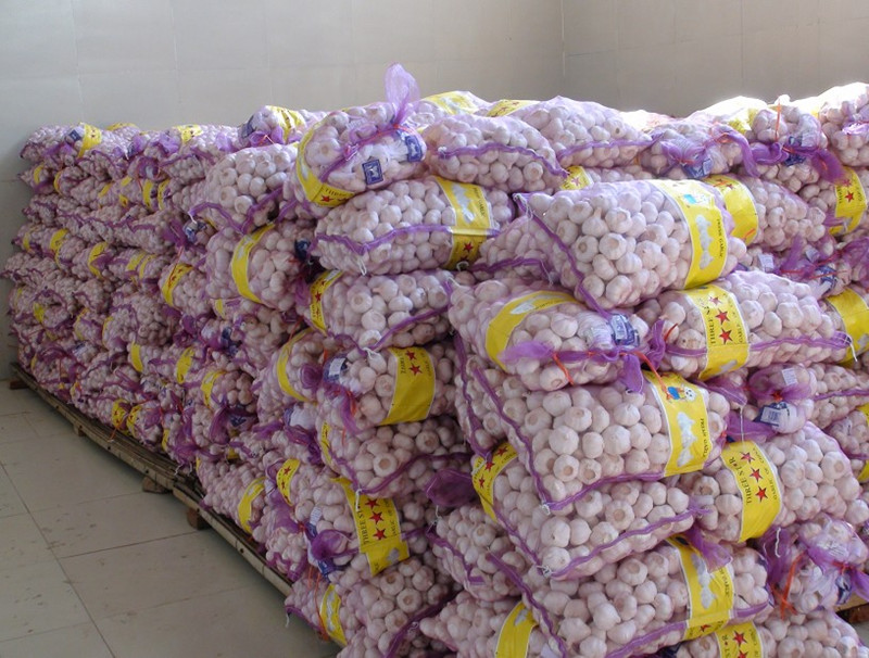 Pure White Garlic 10kg Mesh Bag