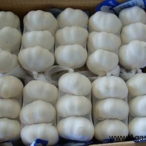 Pure White Garlic 3pcs