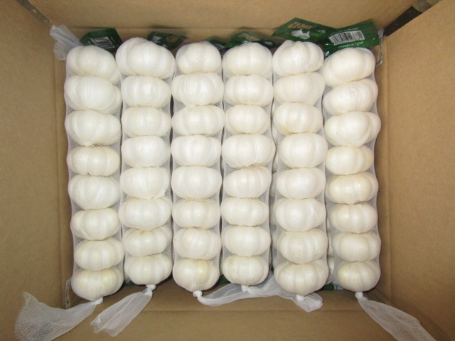 Pure White Garlic 500g Mesh Bag