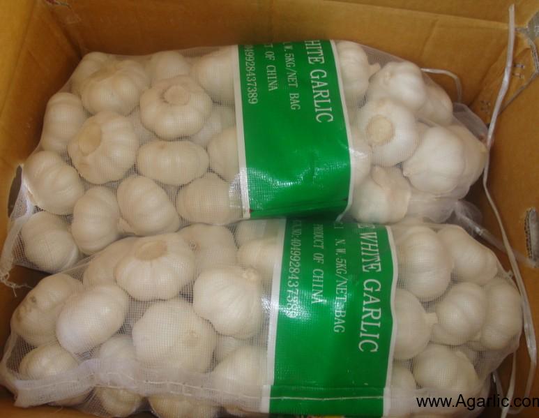 Pure White Garlic 5kg Mesh Bag