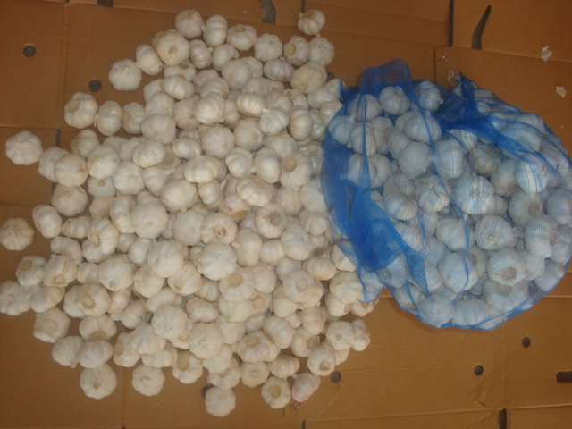 Pure White Garlic Loose Packing